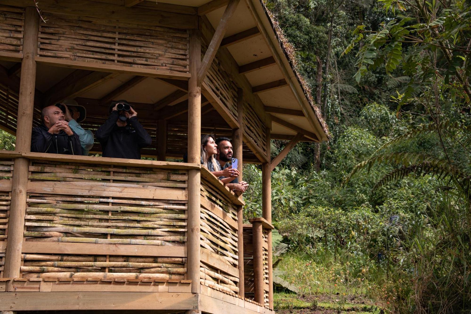 Owl'S Watch At Rio Blanco Manizales Exterior foto