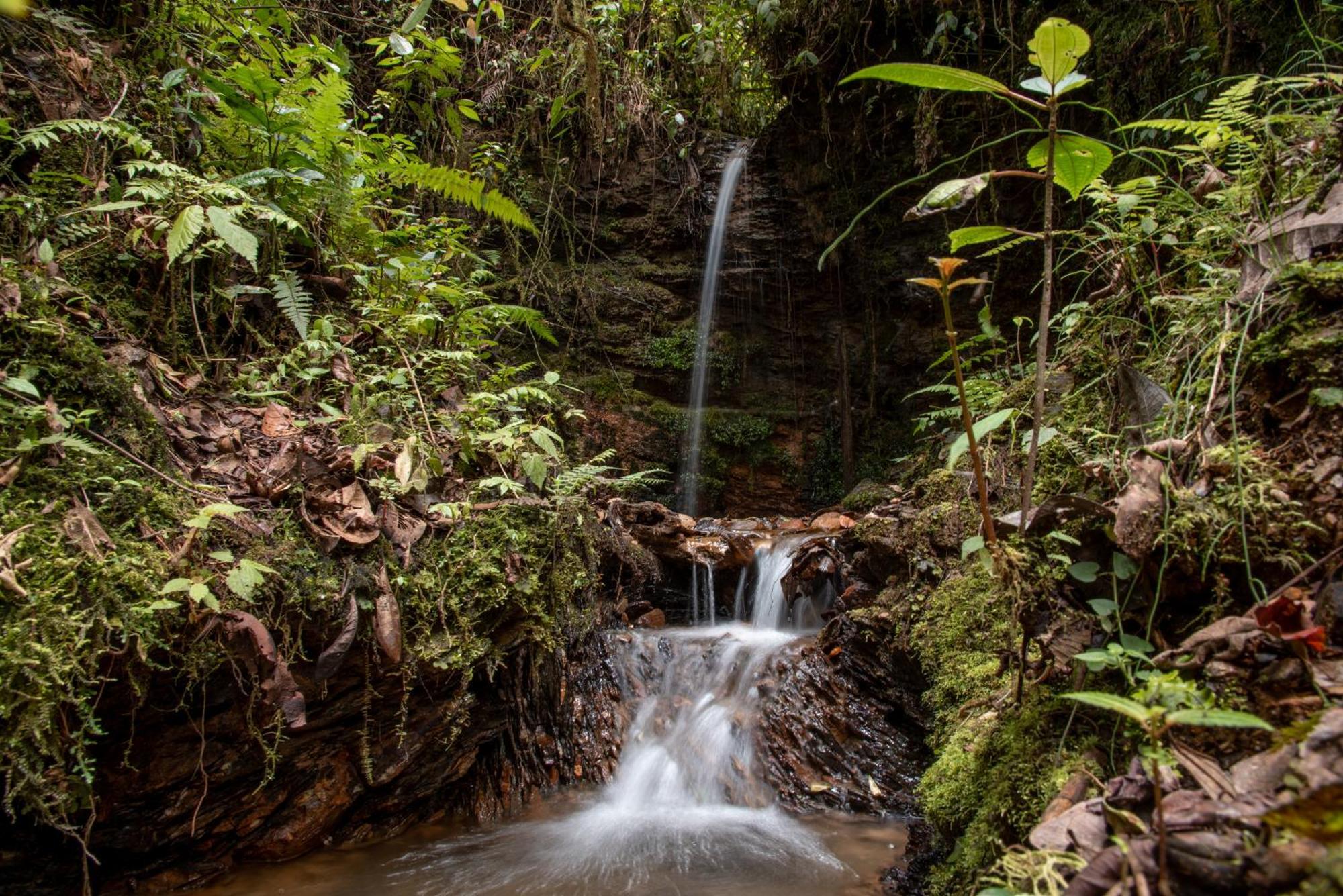 Owl'S Watch At Rio Blanco Manizales Exterior foto